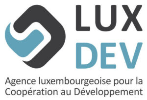 logo_lux_development